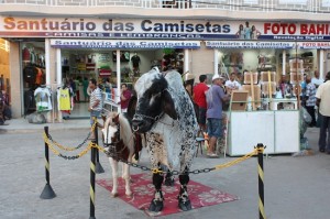 LAPA-ROMARIAS 060