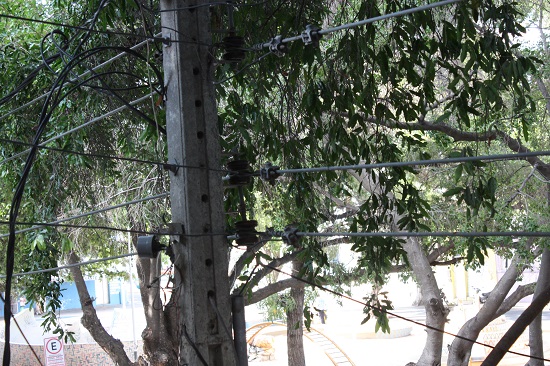 fiacao-e-arvores-i-003